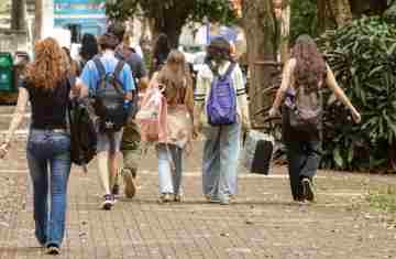  Diminui o número de jovens que não trabalham nem estudam no Paraná, aponta IBGE